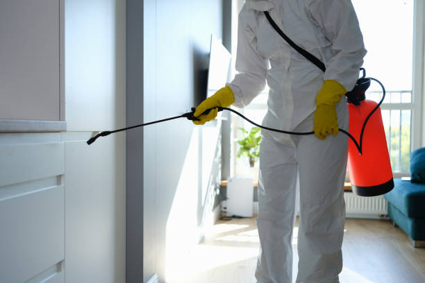 Professional Mold Remediation in Woodmere, NY